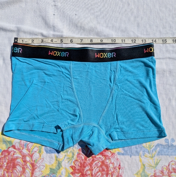 Woxer Vibrant Blue Boxer Briefs - Picture 1 of 2